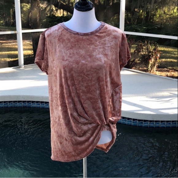 Hummingbird Dusty Rose Crushed Velvet Twist Front Short Sleeve Top - Picture 3 of 4